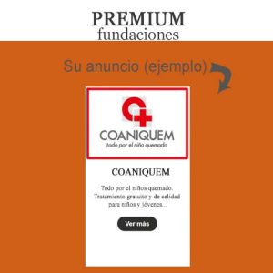 Plan Premium - FUNDACIONES - Region 16